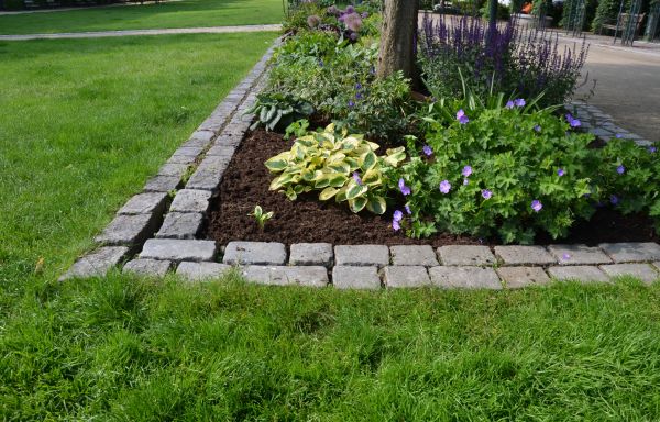 Stone Edging Installation in Silver Spring