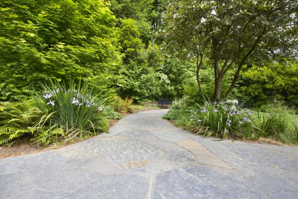 Stone Hardscape Service in Silver Spring