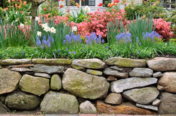 Garden Wall Installation in Silver Spring