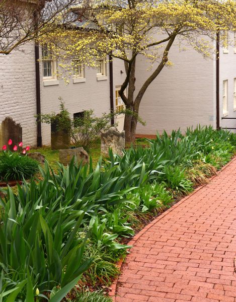 Brick Flatwork Repair in Silver Spring